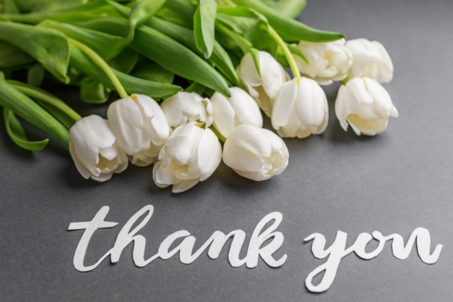 thankyou2